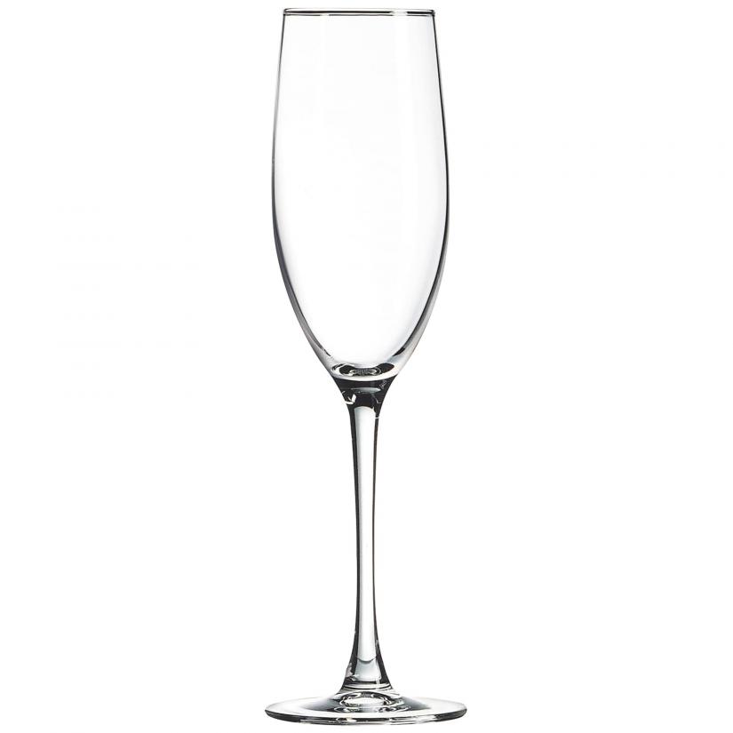 PCG300 - 8 oz Champagne Flute